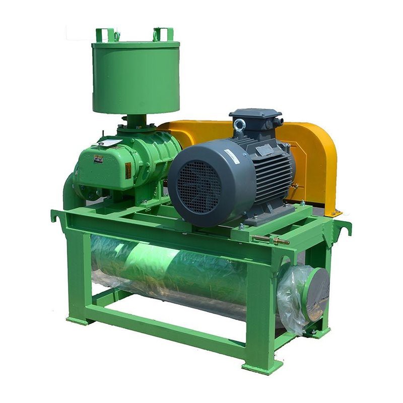 Packaged Roots Blower